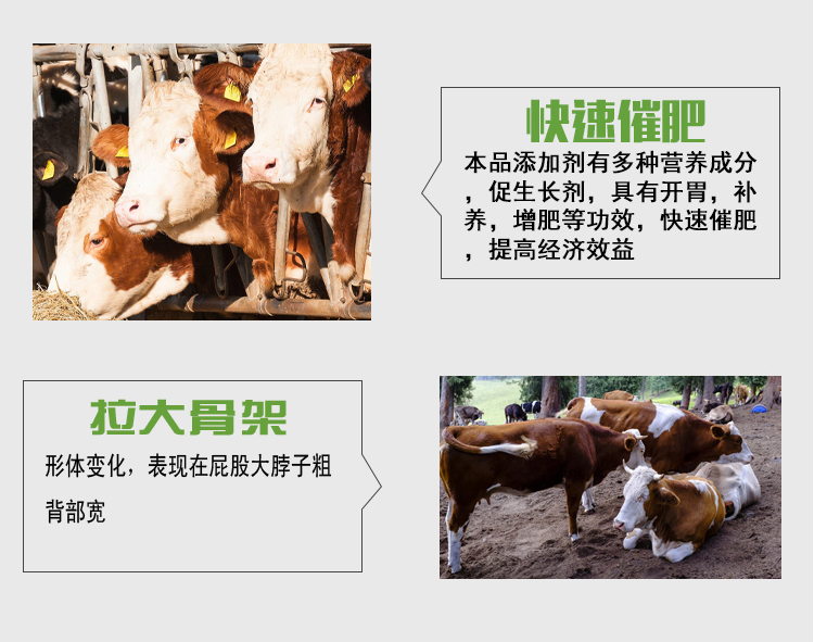 O1CN01kL7H6m1QrKFJBeJhV_!!2201195532029 (1)副本.jpg