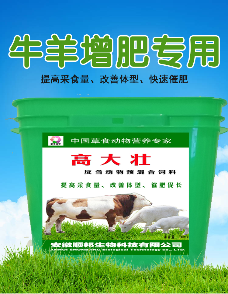 O1CN01WPlzly1QrKFMHY5w4_!!2201195532029 (1)副本.jpg